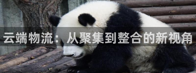 豪门国际官方官网版：云端物流：从聚集