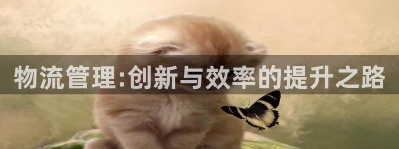 豪门国际官网版下载：物流管理:创新与