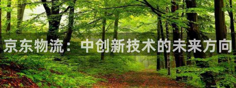 豪门国际p扣款什么意思：京东物流：中创新技术的未来方向