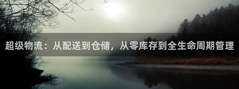 豪门国际忘记账号：超级物流：从配送到仓储，从零库存到全生命周