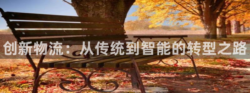 豪门国际软件：创新物流：从传统到智能