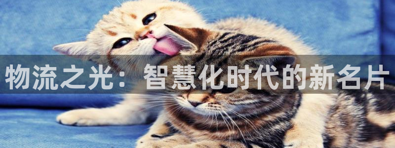 豪门国际注册网页：物流之光：智慧化时