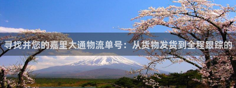 豪门国际为什么打不开：寻找并您的嘉里