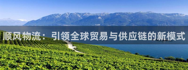 豪门国际aPP退款：顺风物流：引领全