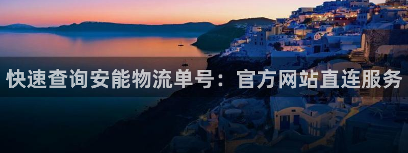 豪门国际官方平台：快速查询安能物流单