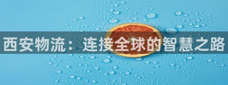 豪门国际怎么注册账号:西安物流:连接