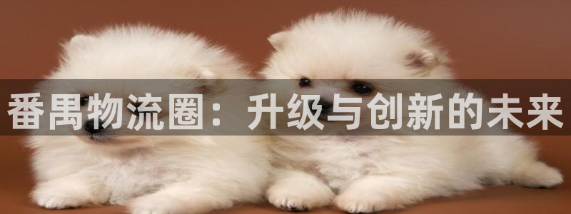 豪门国际人头费:番禺物流圈:升级与创