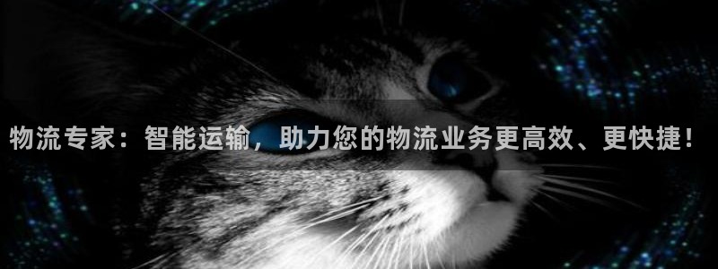 豪门国际麻将胡了爆分视频