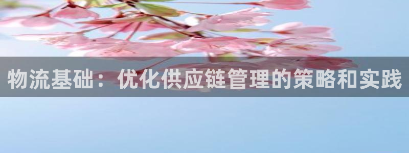 豪门国际模拟：物流基础：优化供应链管理的策略和实践