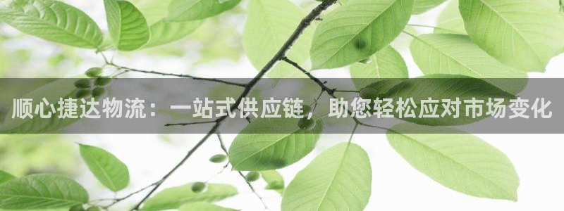 豪门国际相信品牌的力量：顺心捷达物流：一站式供应链，助您轻松