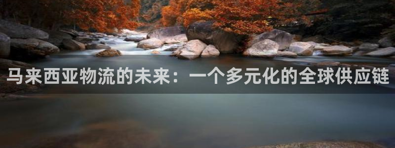 豪门国际自行车图片