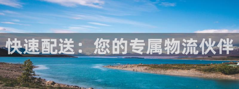 豪门国际辅助：快速配送：您的专属物流